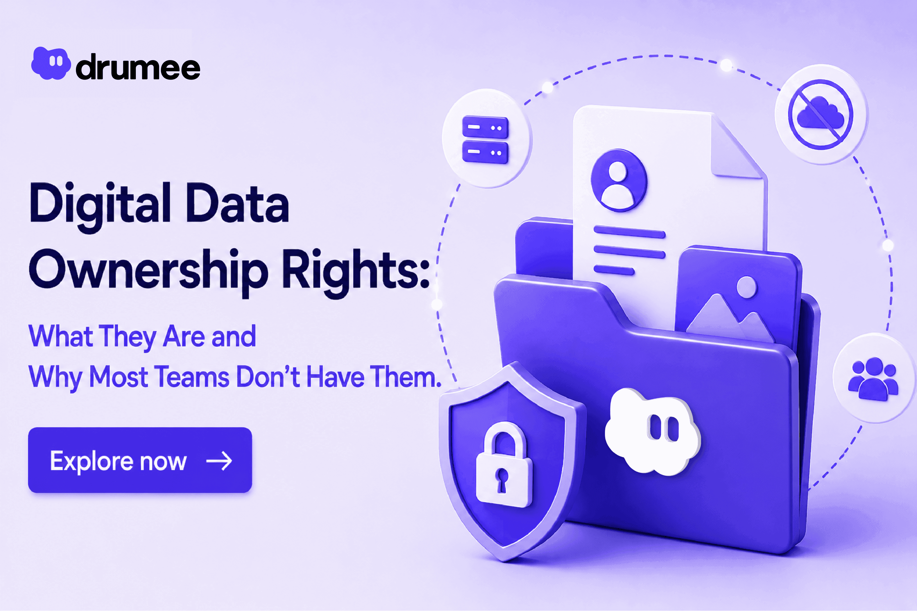 Digital Data Ownership Rights